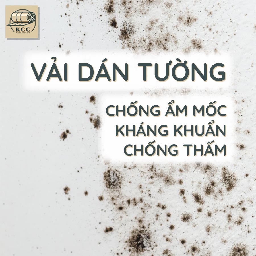 Vải dán tường chống ẩm mốc, kháng khuẩn, chống thấm